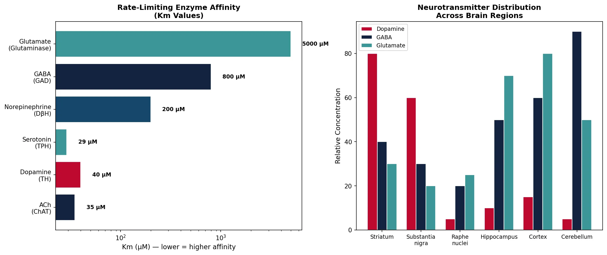 Rate-Limiting Enzyme Affinity\n(Km Values)