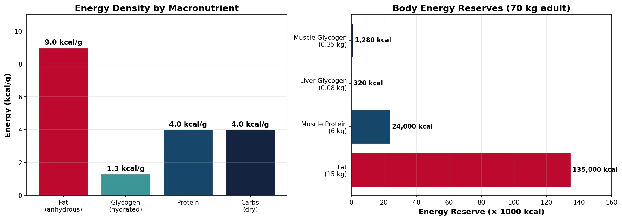 Energy Density by Macronutrient