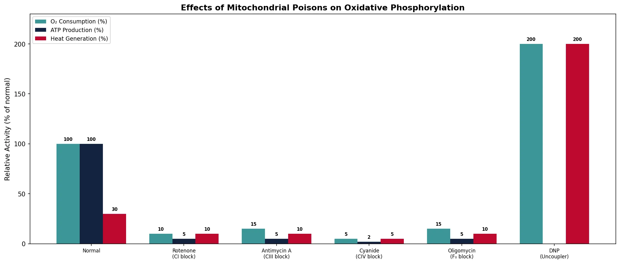 Effects of Mitochondrial Poisons on Oxidative Phosphorylation