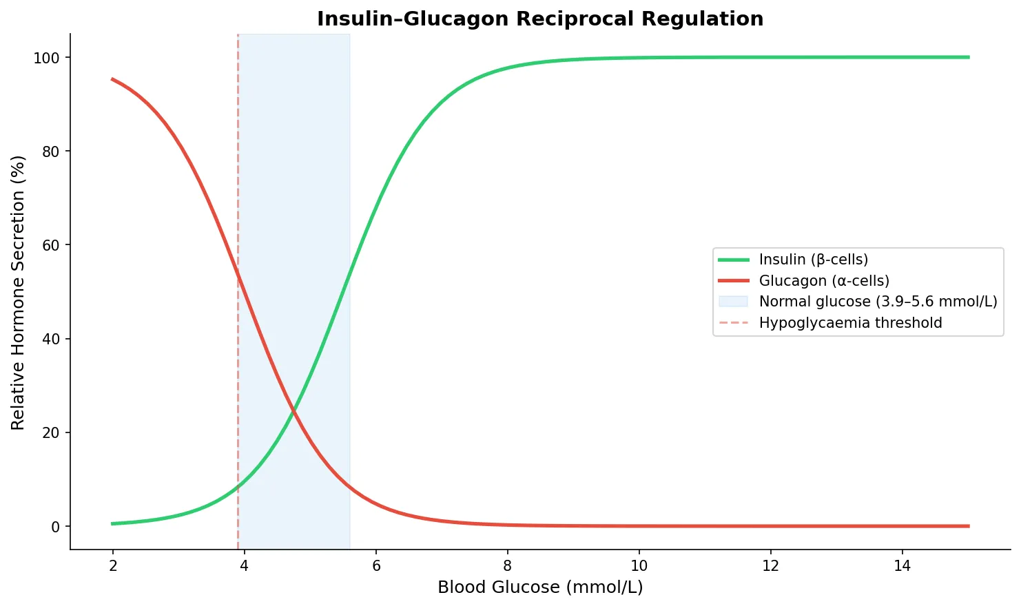 Insulin–Glucagon Reciprocal Regulation