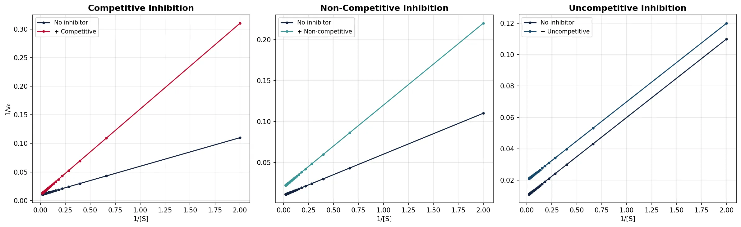 Competitive Inhibition