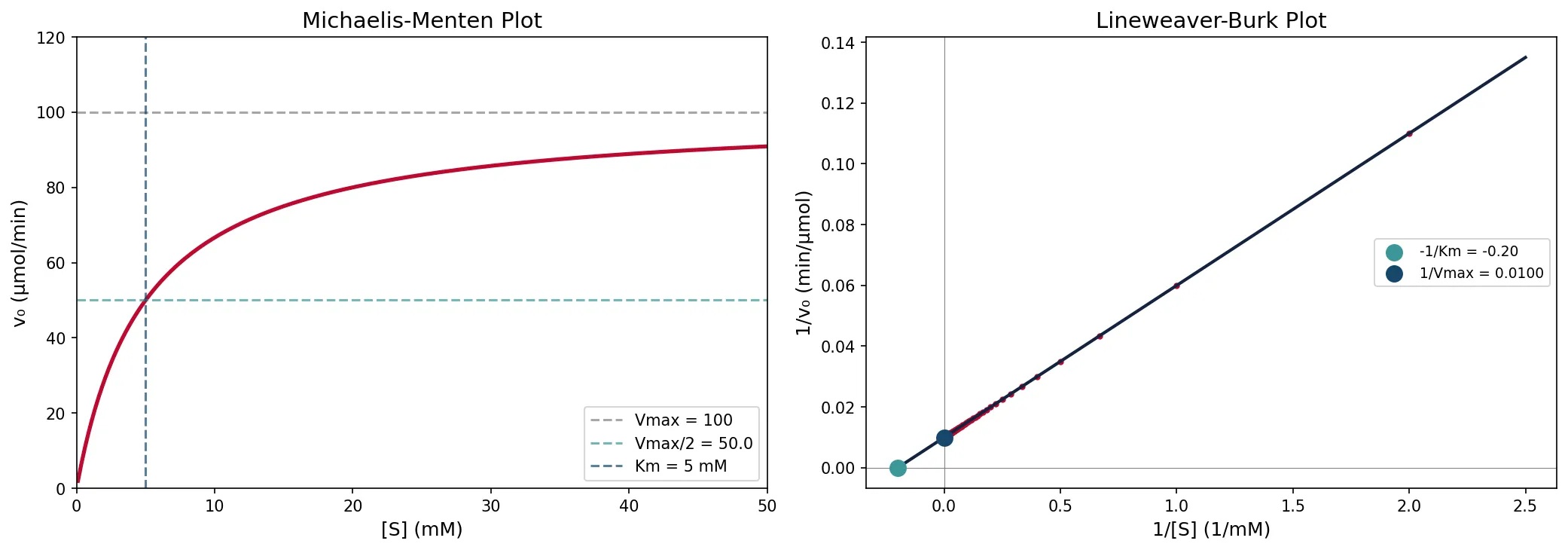 Michaelis-Menten Plot