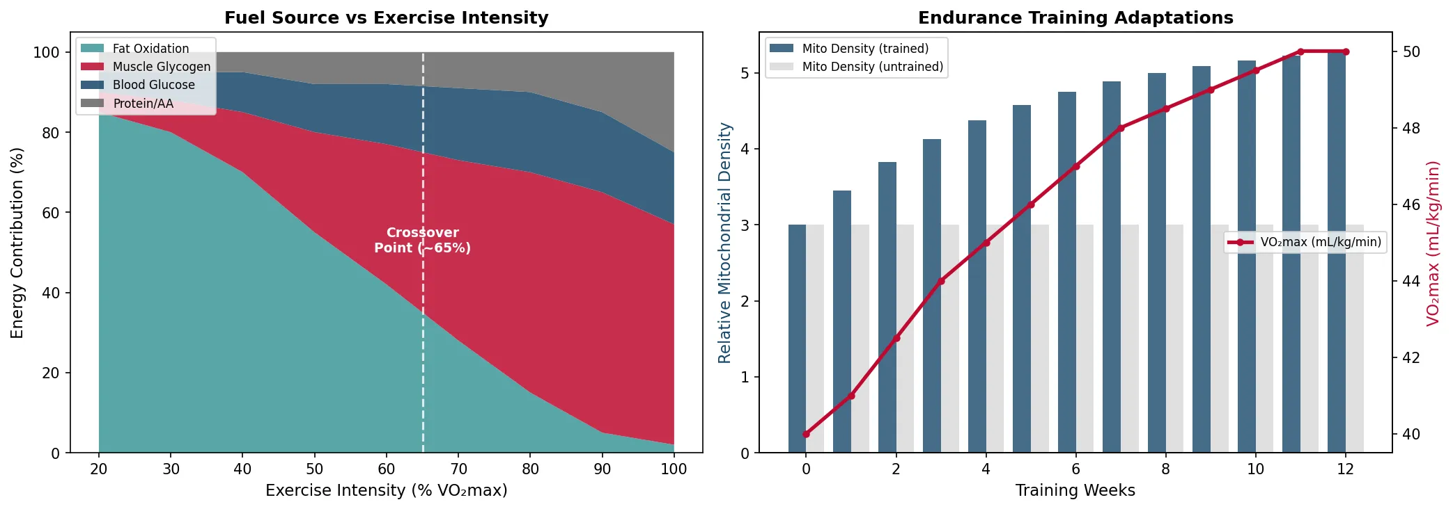 Fuel Source vs Exercise Intensity