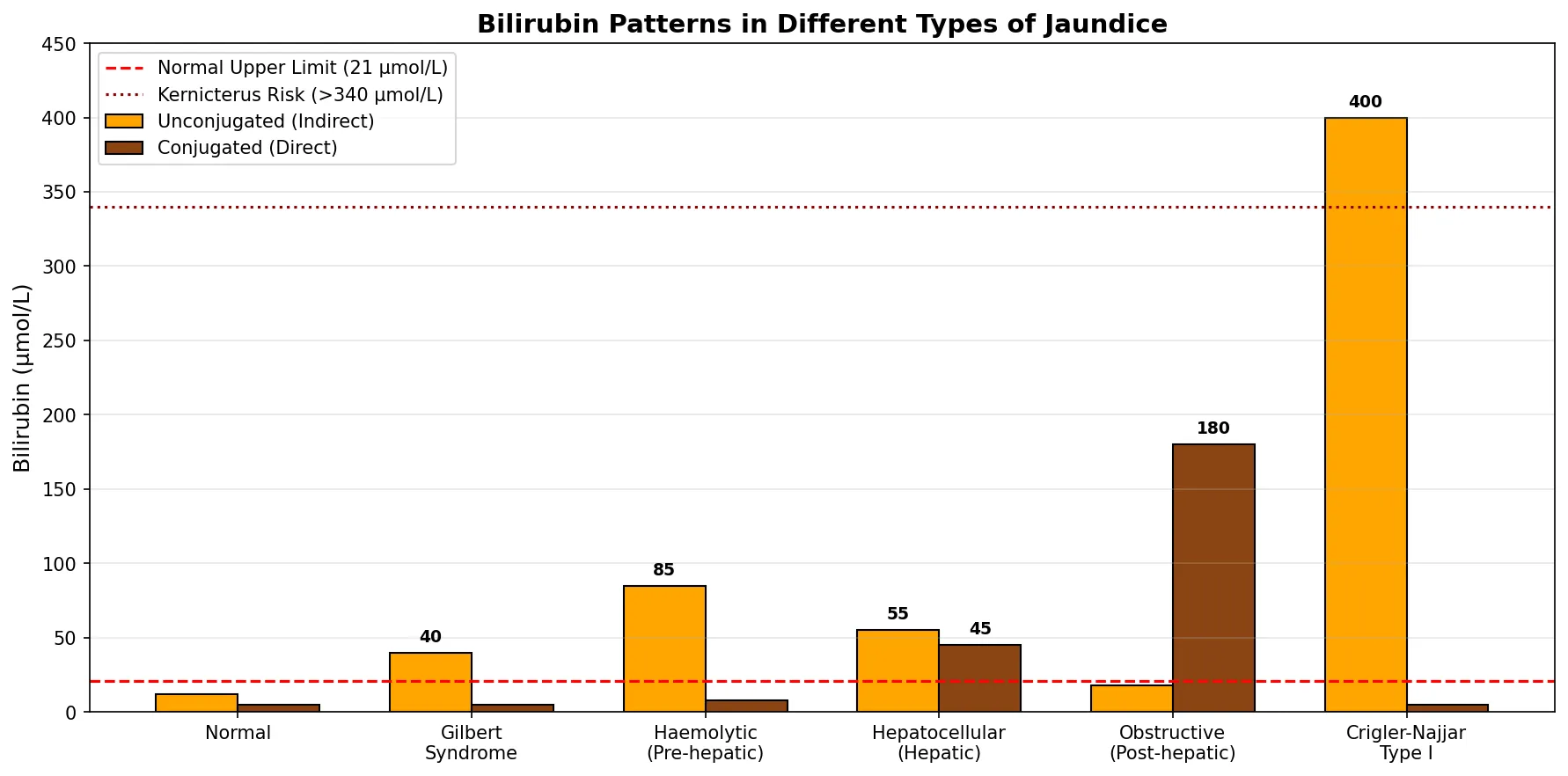 Bilirubin Patterns in Different Types of Jaundice