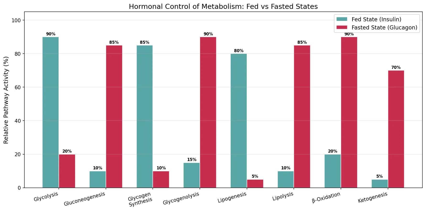 Hormonal Control of Metabolism: Fed vs Fasted States