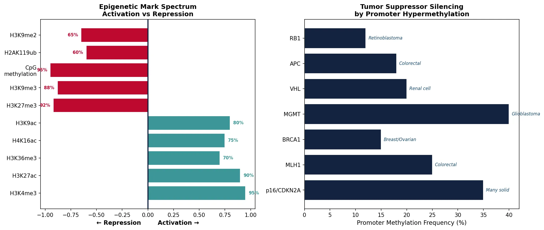 Epigenetic Mark Spectrum\nActivation vs Repression
