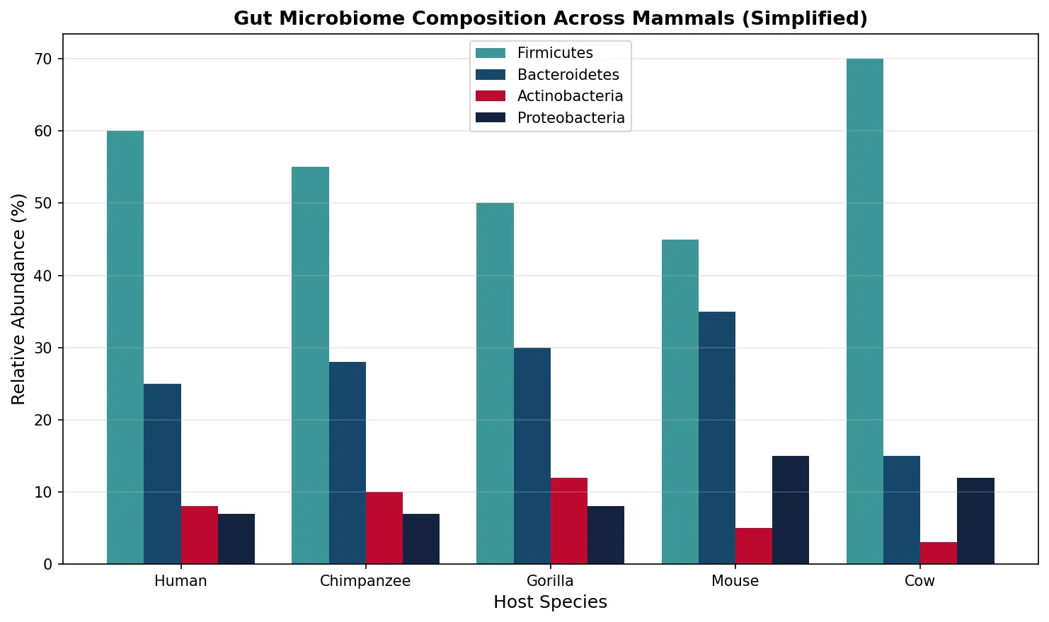 Gut Microbiome Composition Across Mammals (Simplified)
