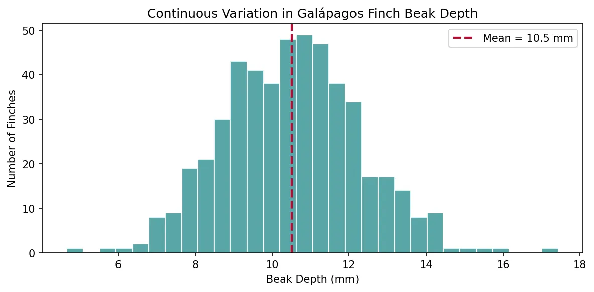 Continuous Variation in Galápagos Finch Beak Depth