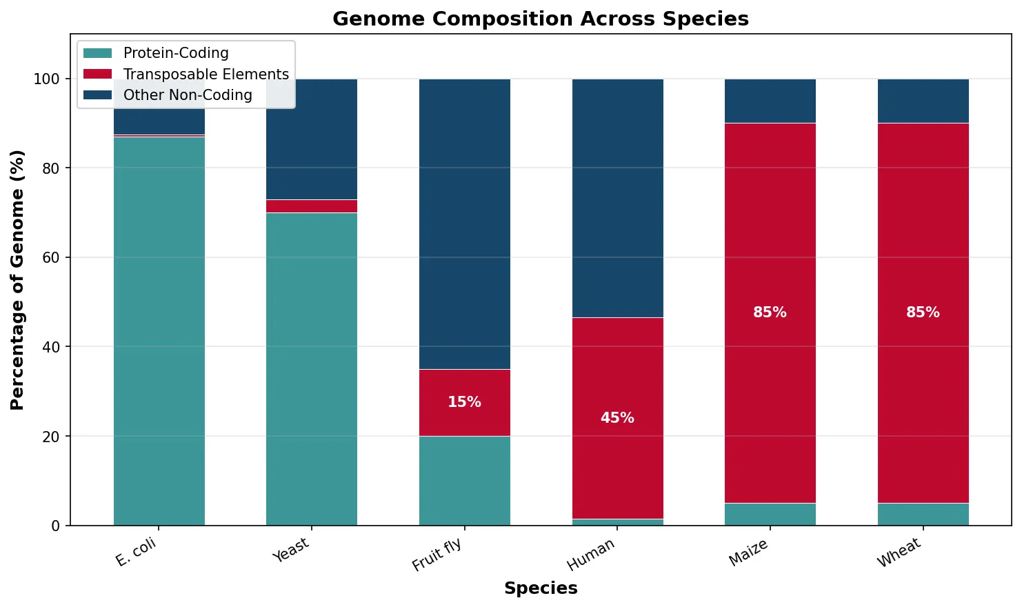 Genome Composition Across Species