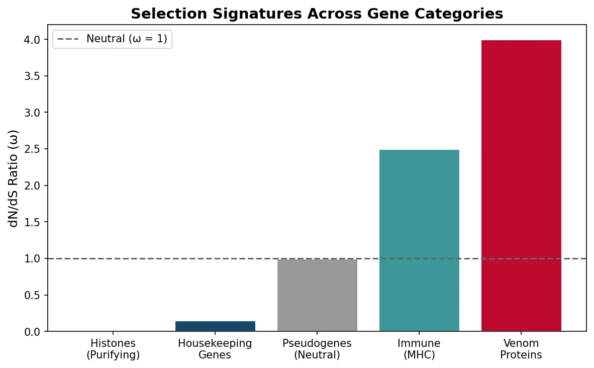 Selection Signatures Across Gene Categories