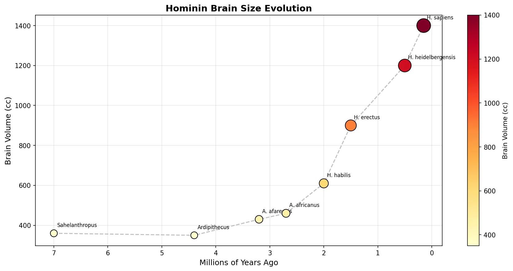 Hominin Brain Size Evolution