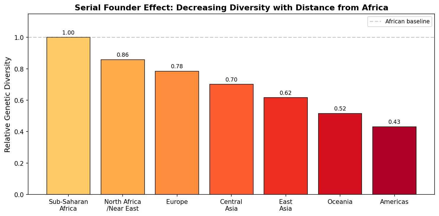 Serial Founder Effect: Decreasing Diversity with Distance from Africa