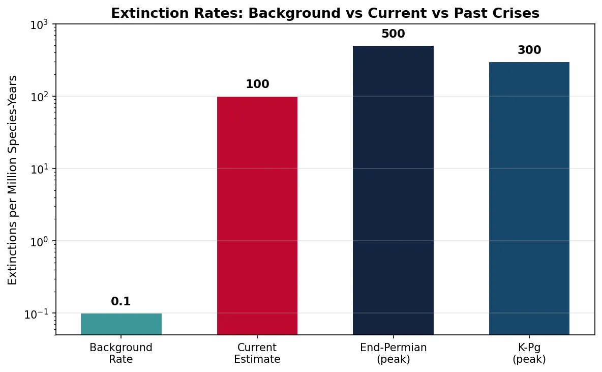 Extinction Rates: Background vs Current vs Past Crises