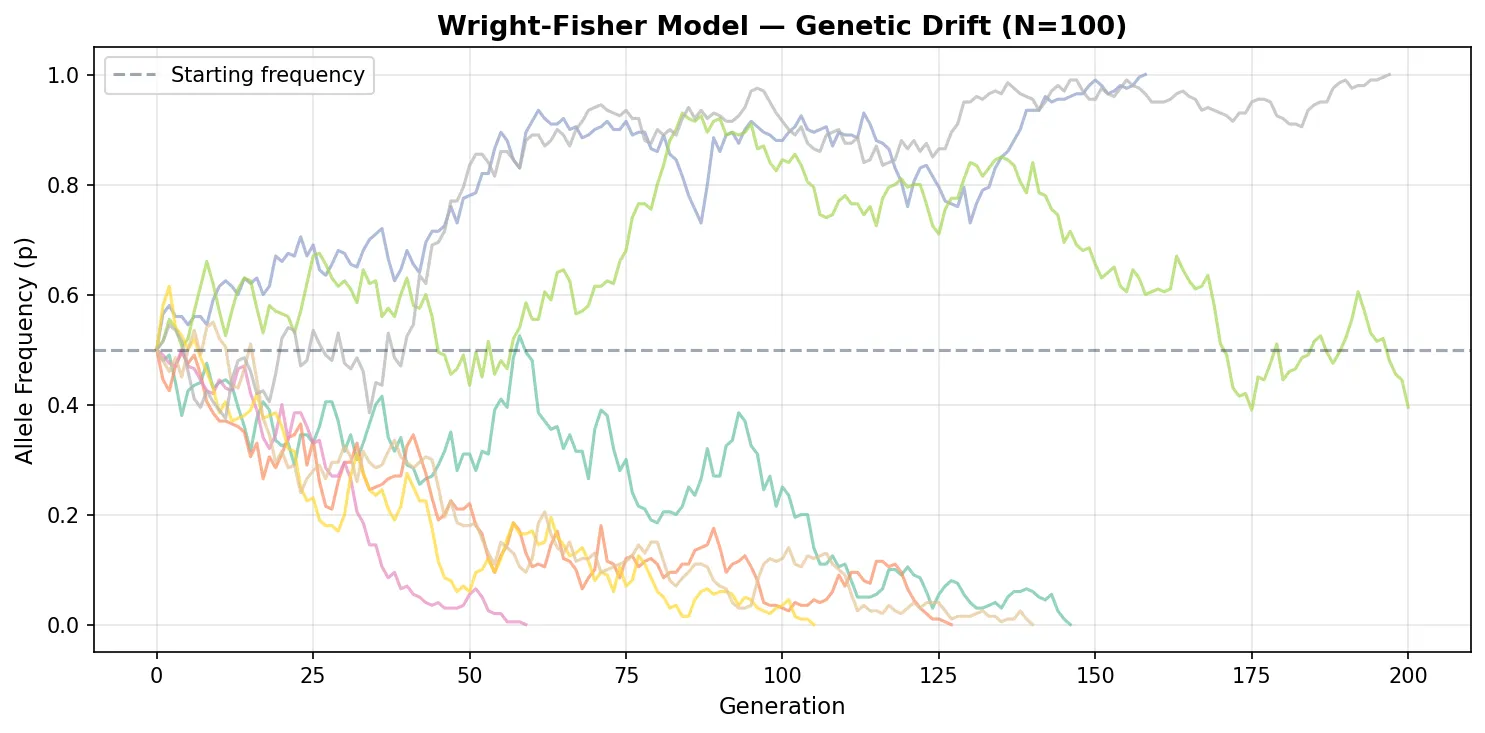 Mathematical Theoretical Visualization