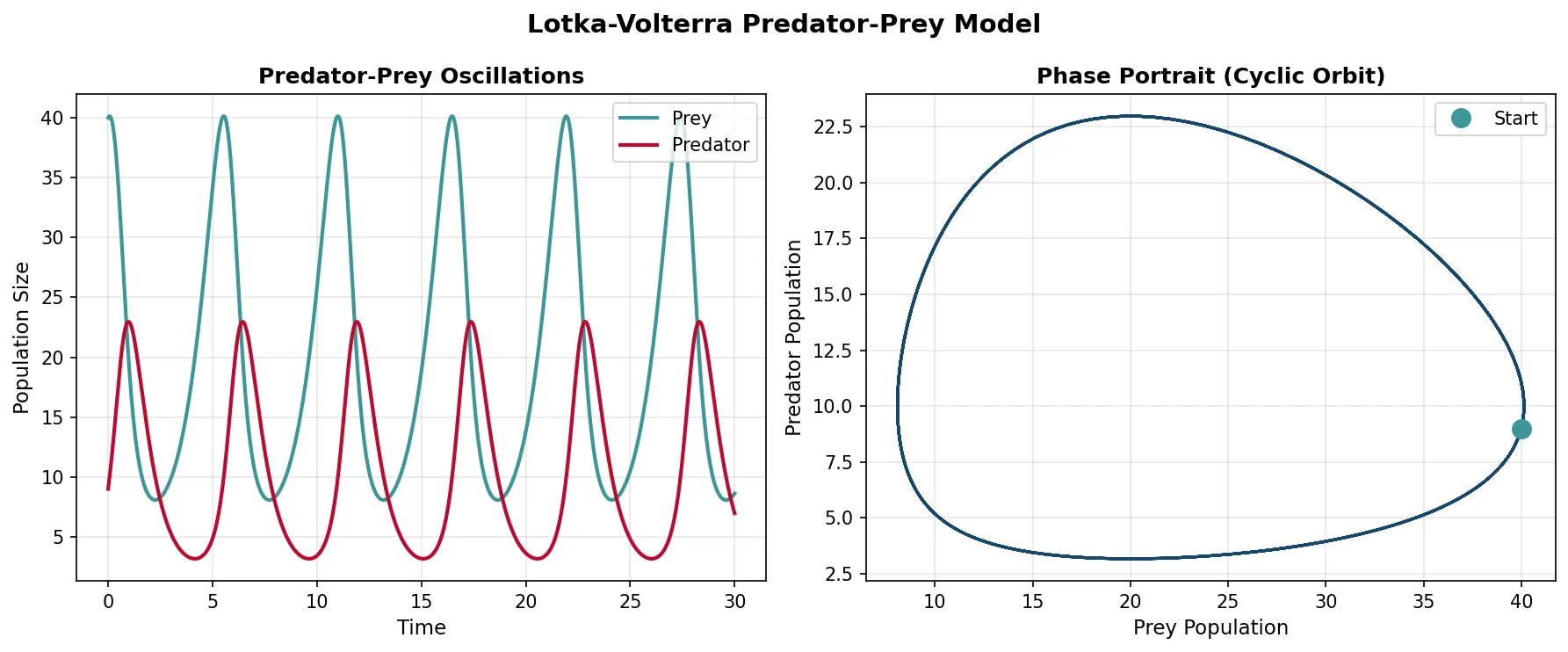 Predator-Prey Oscillations