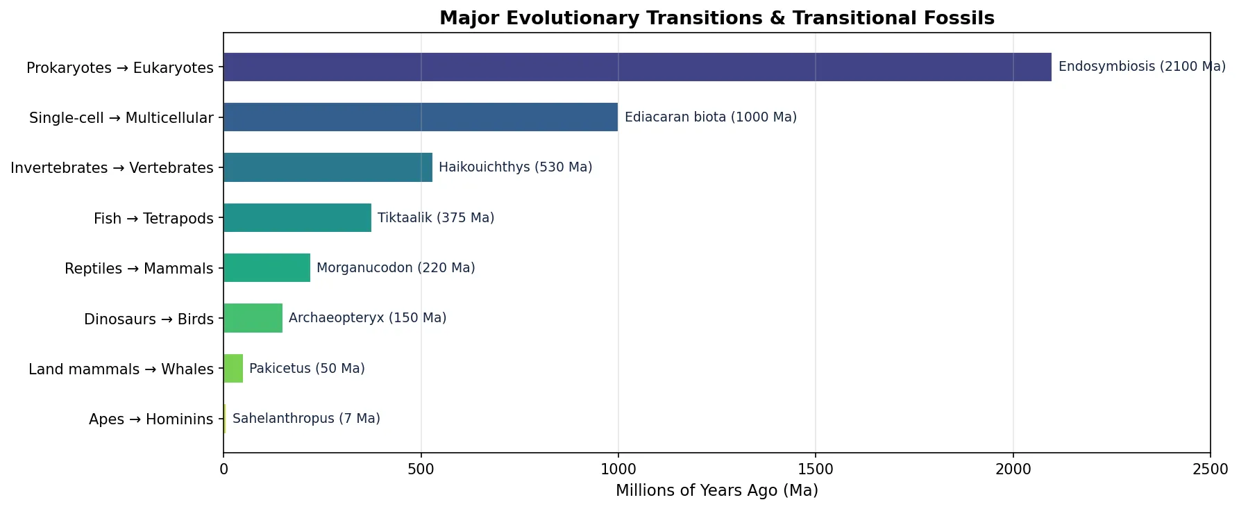 Major Evolutionary Transitions & Transitional Fossils