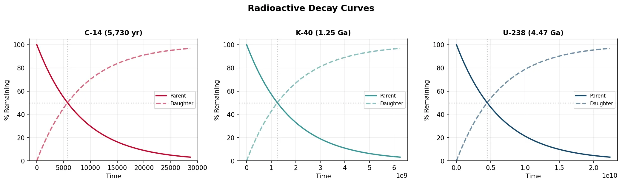 Radioactive Decay Curves