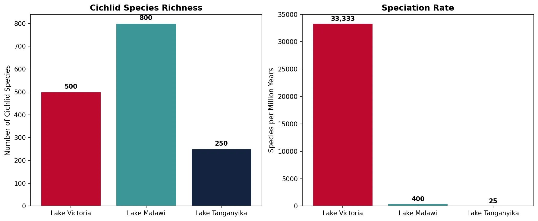 Cichlid Species Richness