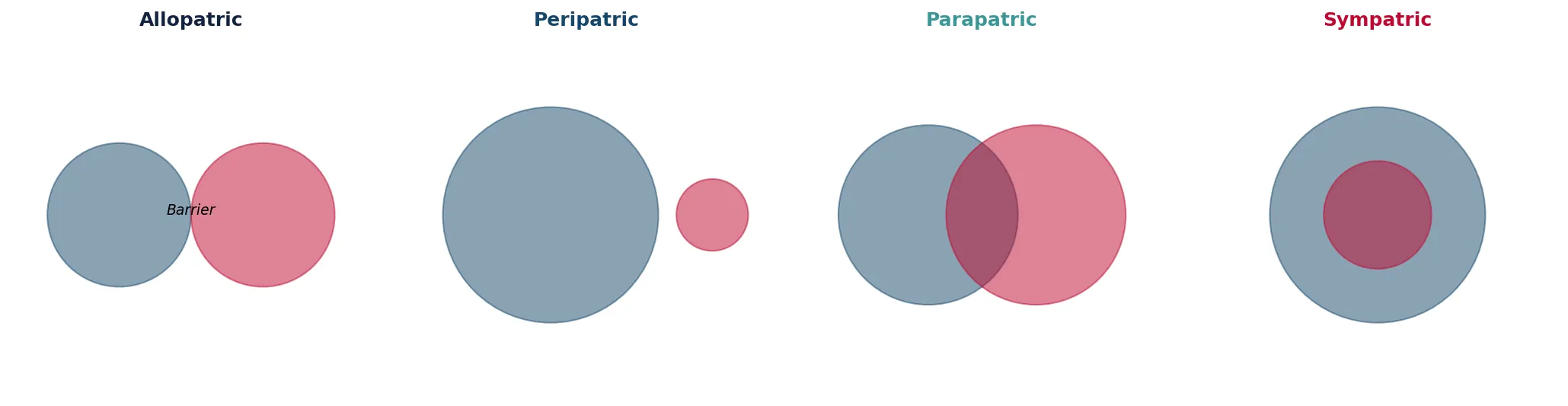 Speciation Adaptive Radiation Visualization