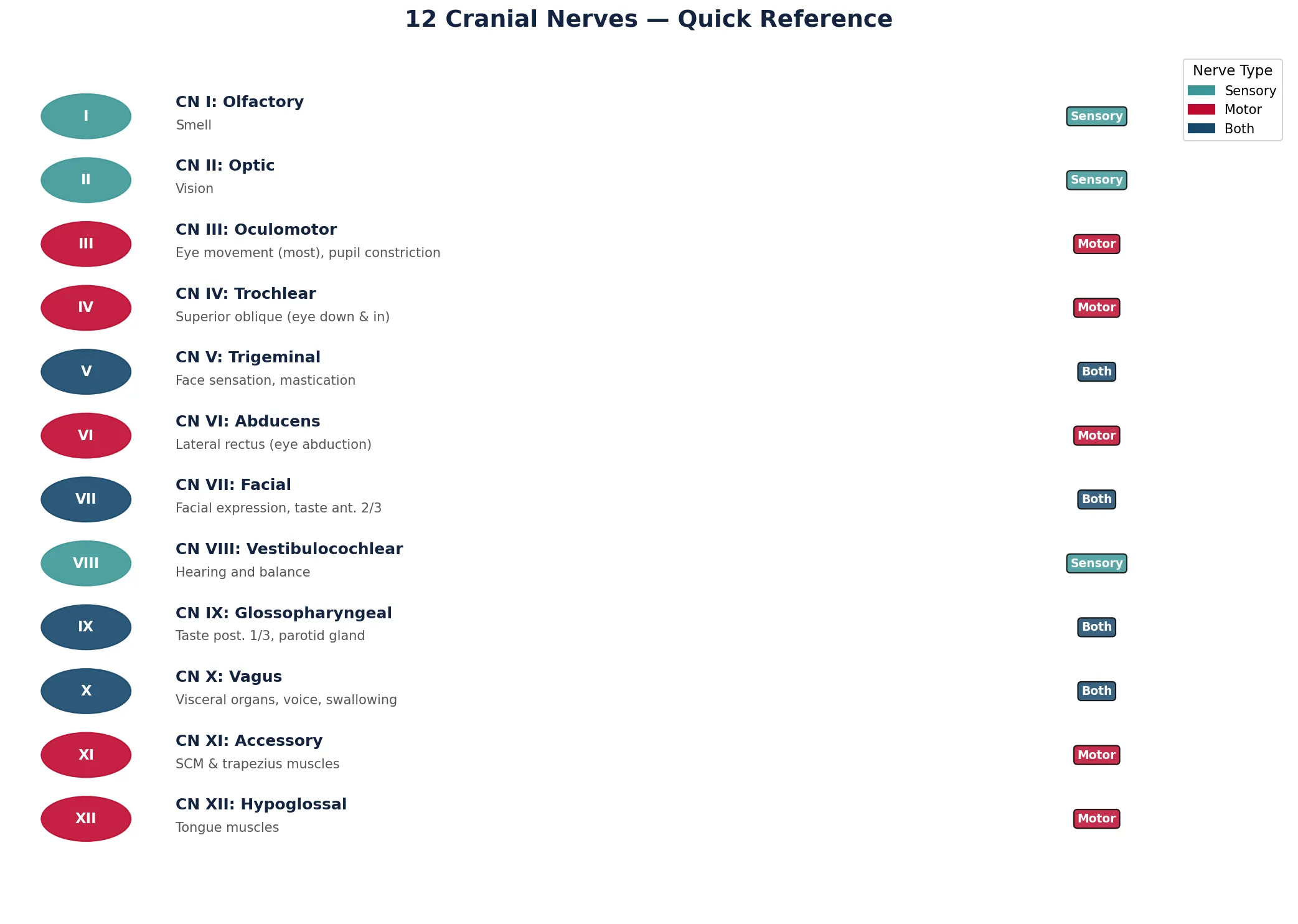 12 Cranial Nerves — Quick Reference