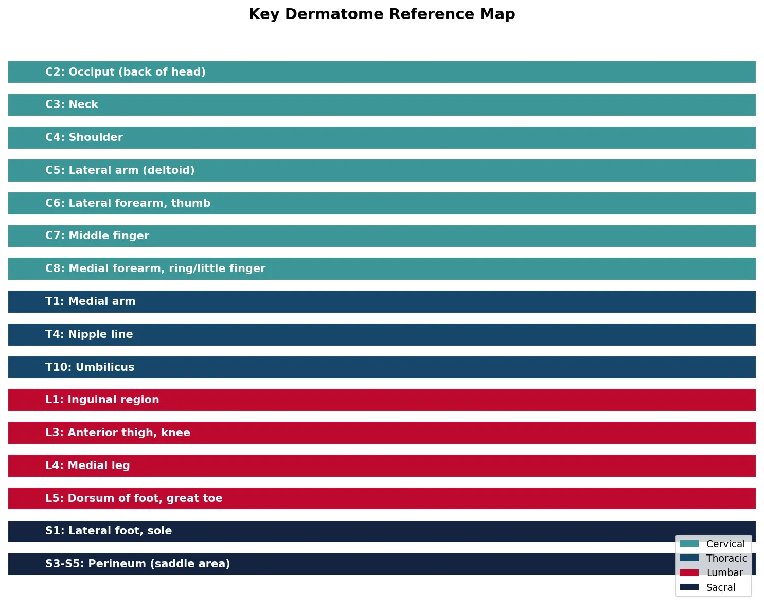 Key Dermatome Reference Map