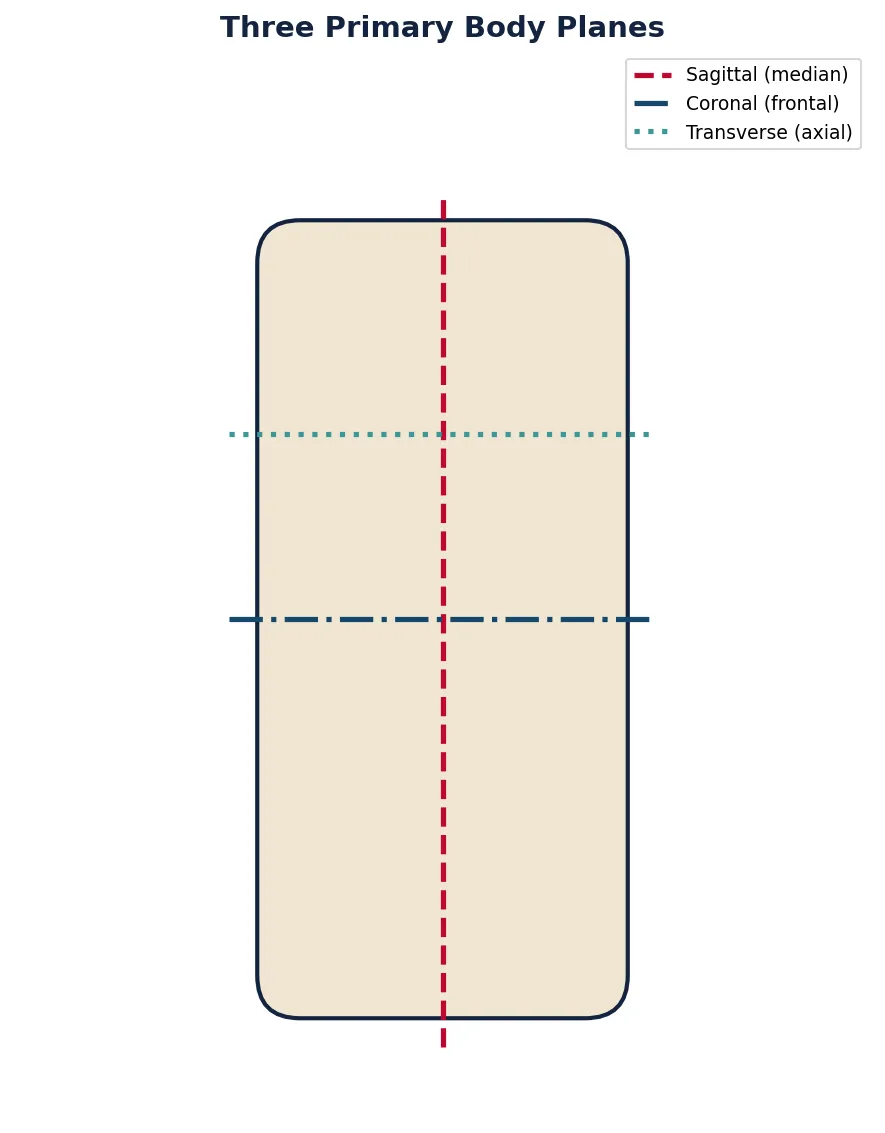Three Primary Body Planes