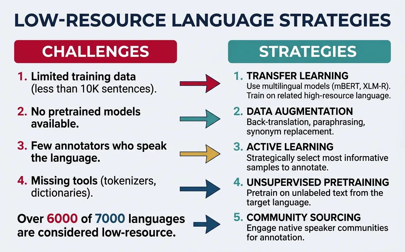 Challenges and strategies for low-resource language NLP
