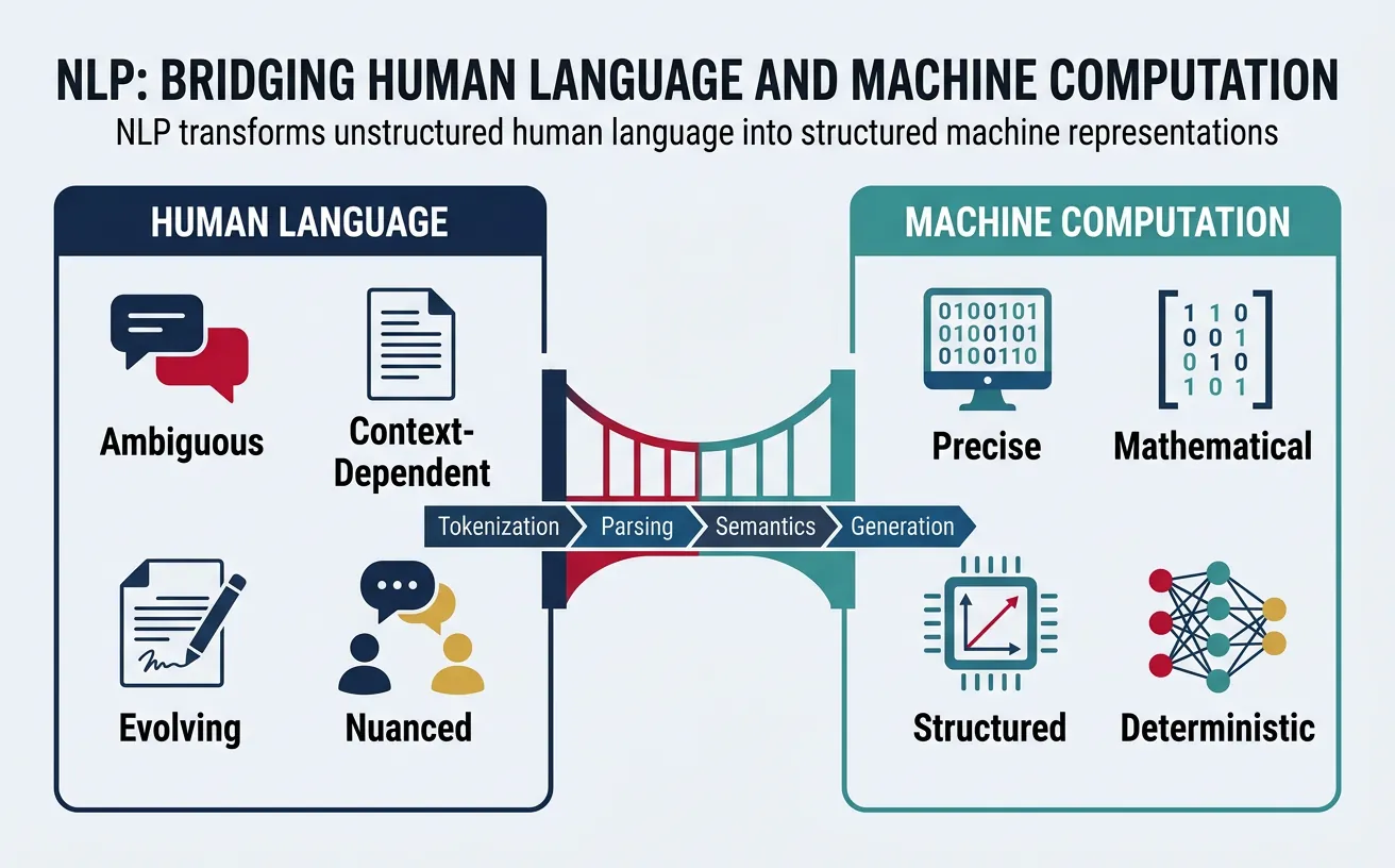 Diagram showing the bridge between human language and machine computation in NLP