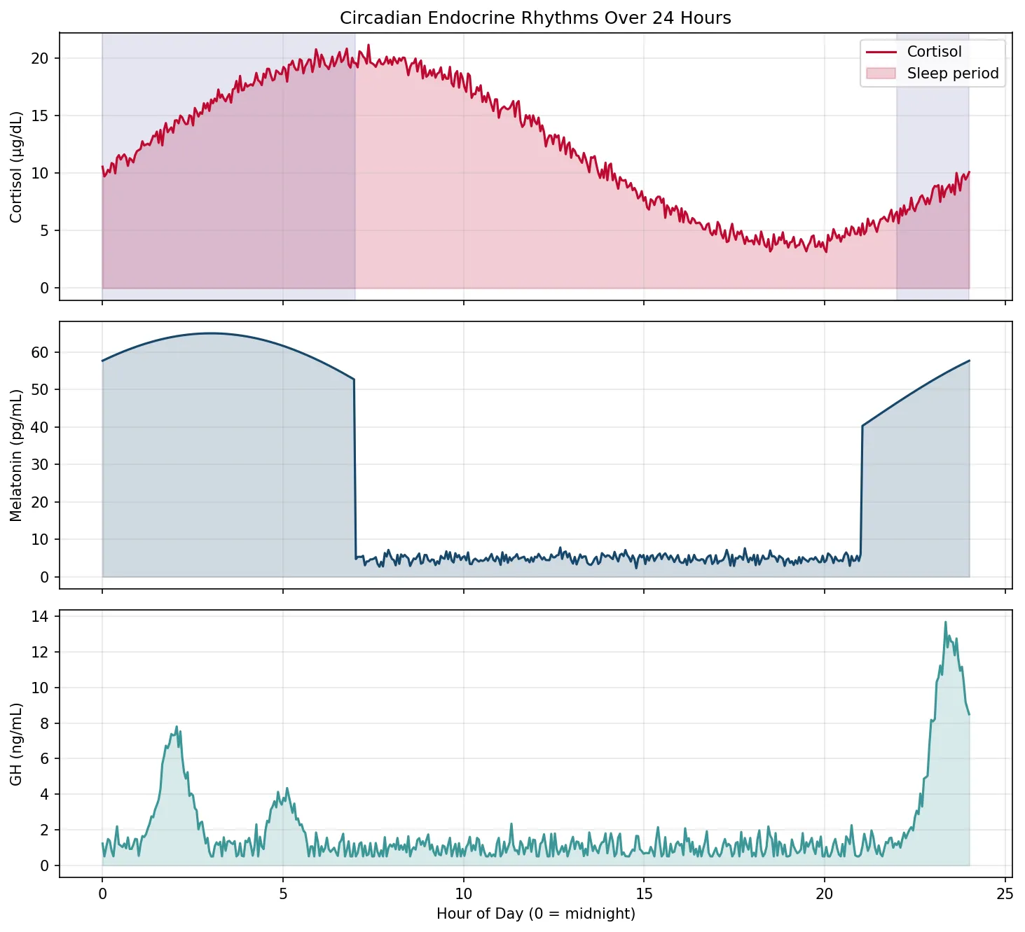 Circadian Endocrine Rhythms Over 24 Hours