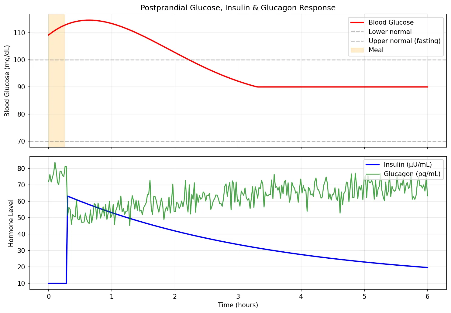 Postprandial Glucose, Insulin & Glucagon Response