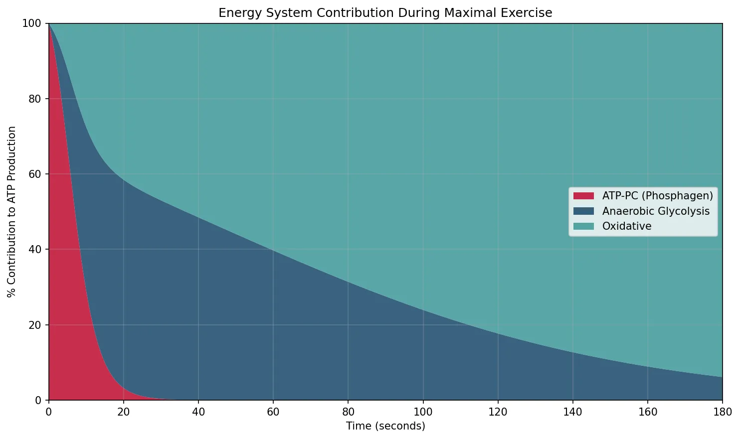Energy System Contribution During Maximal Exercise
