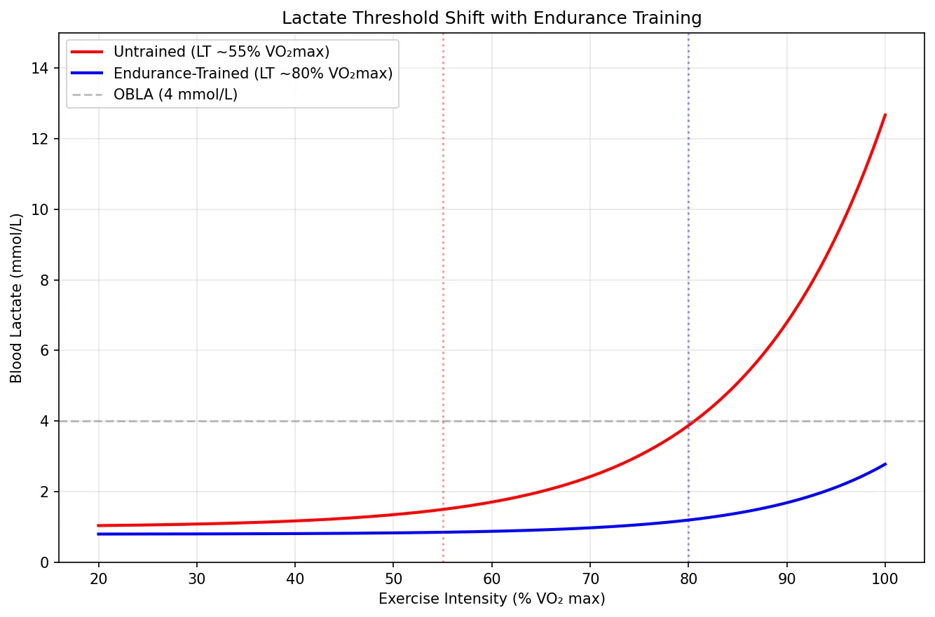 Lactate Threshold Shift with Endurance Training