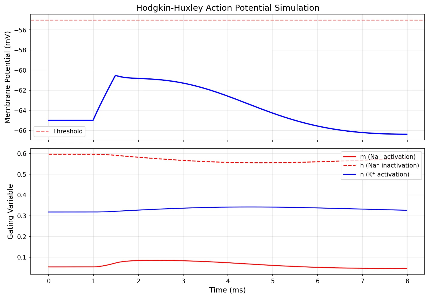 Hodgkin-Huxley Action Potential Simulation