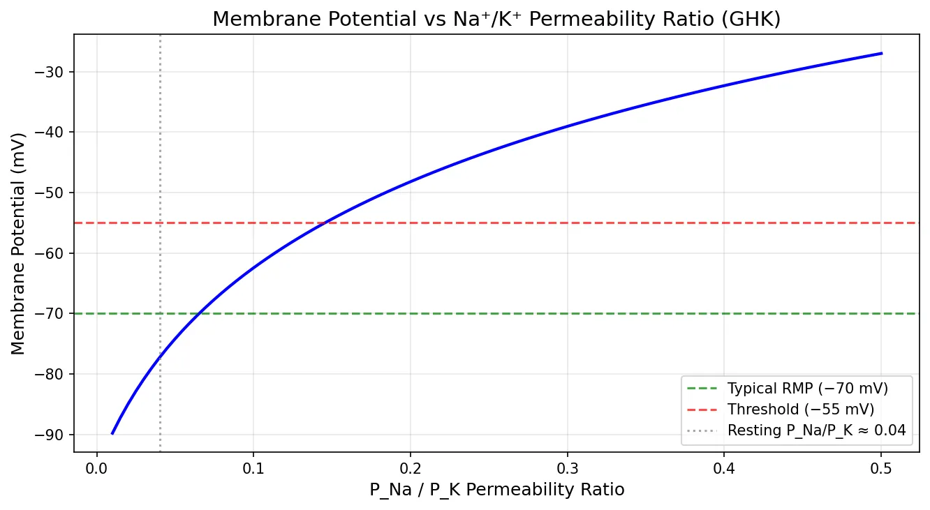 Membrane Potential vs Na⁺/K⁺ Permeability Ratio (GHK)