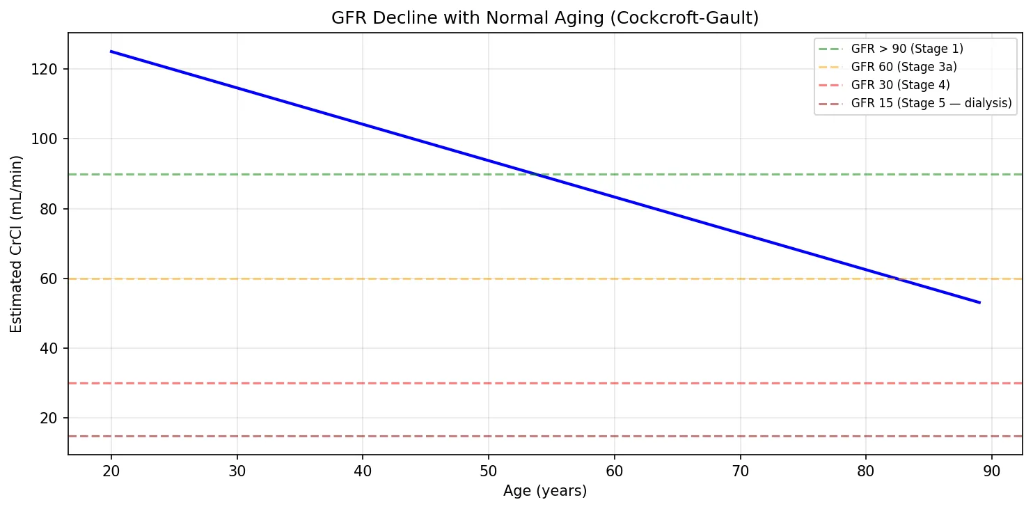 GFR Decline with Normal Aging (Cockcroft-Gault)