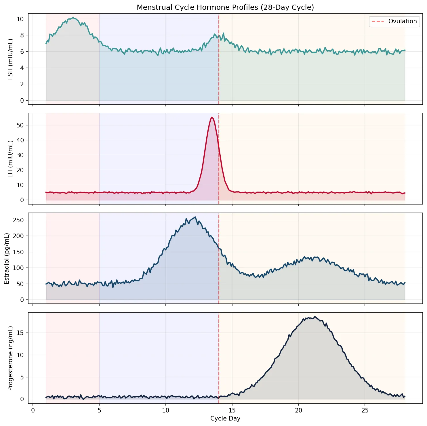 Menstrual Cycle Hormone Profiles (28-Day Cycle)