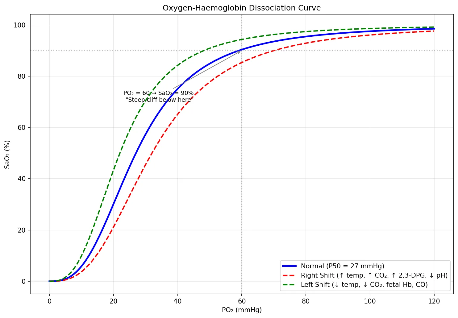 Oxygen-Haemoglobin Dissociation Curve